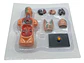 Set Cuerpo Humano A Escala 4d Anatomia Aparato Digestivo - Miniatura 1