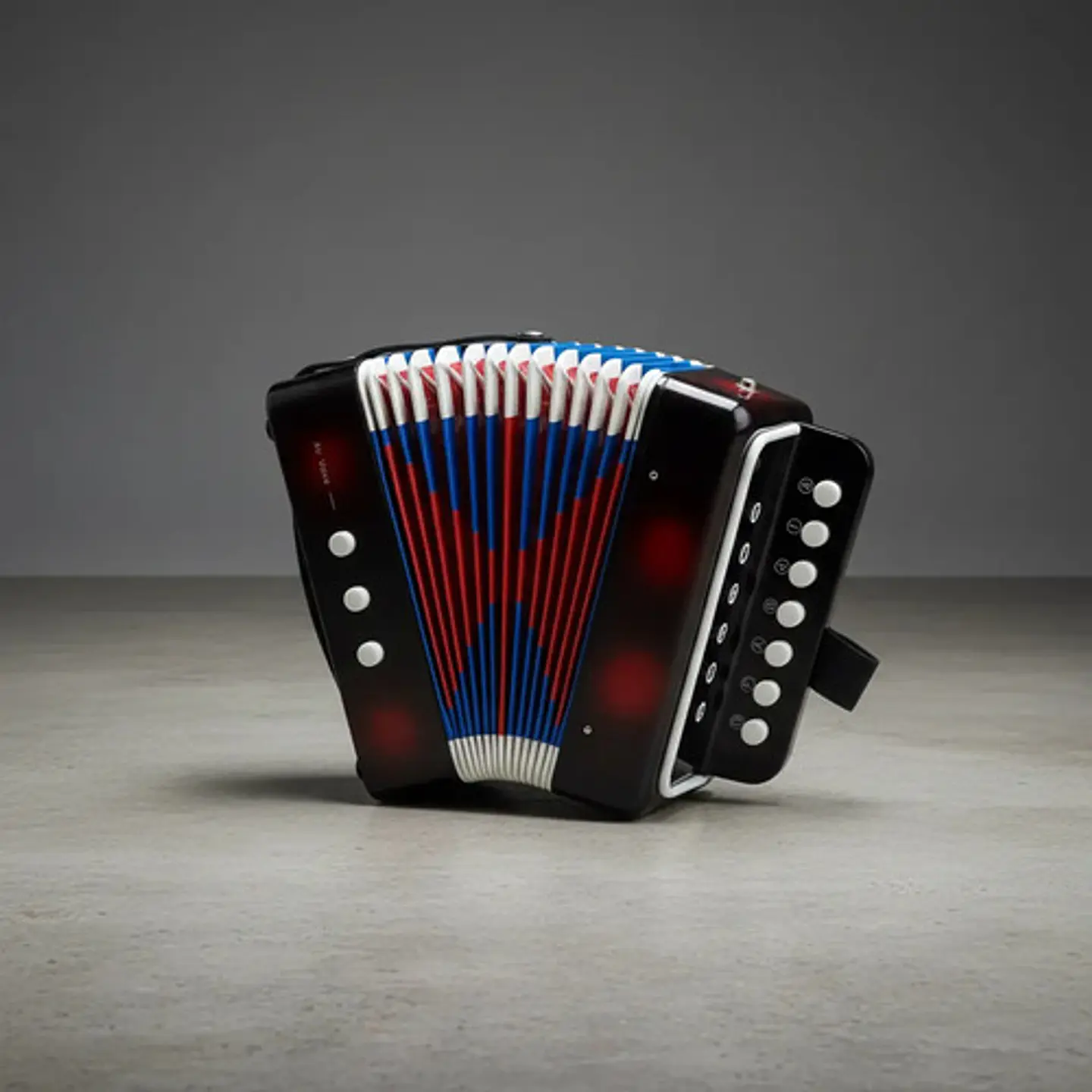 Acordeon De Juguete Musical 2