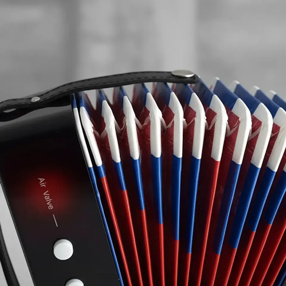 Acordeon De Juguete Musical 3