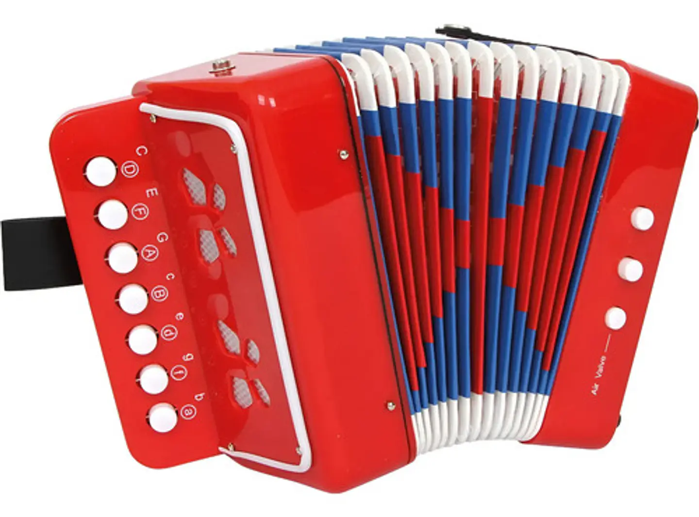 Acordeon De Juguete Musical 5