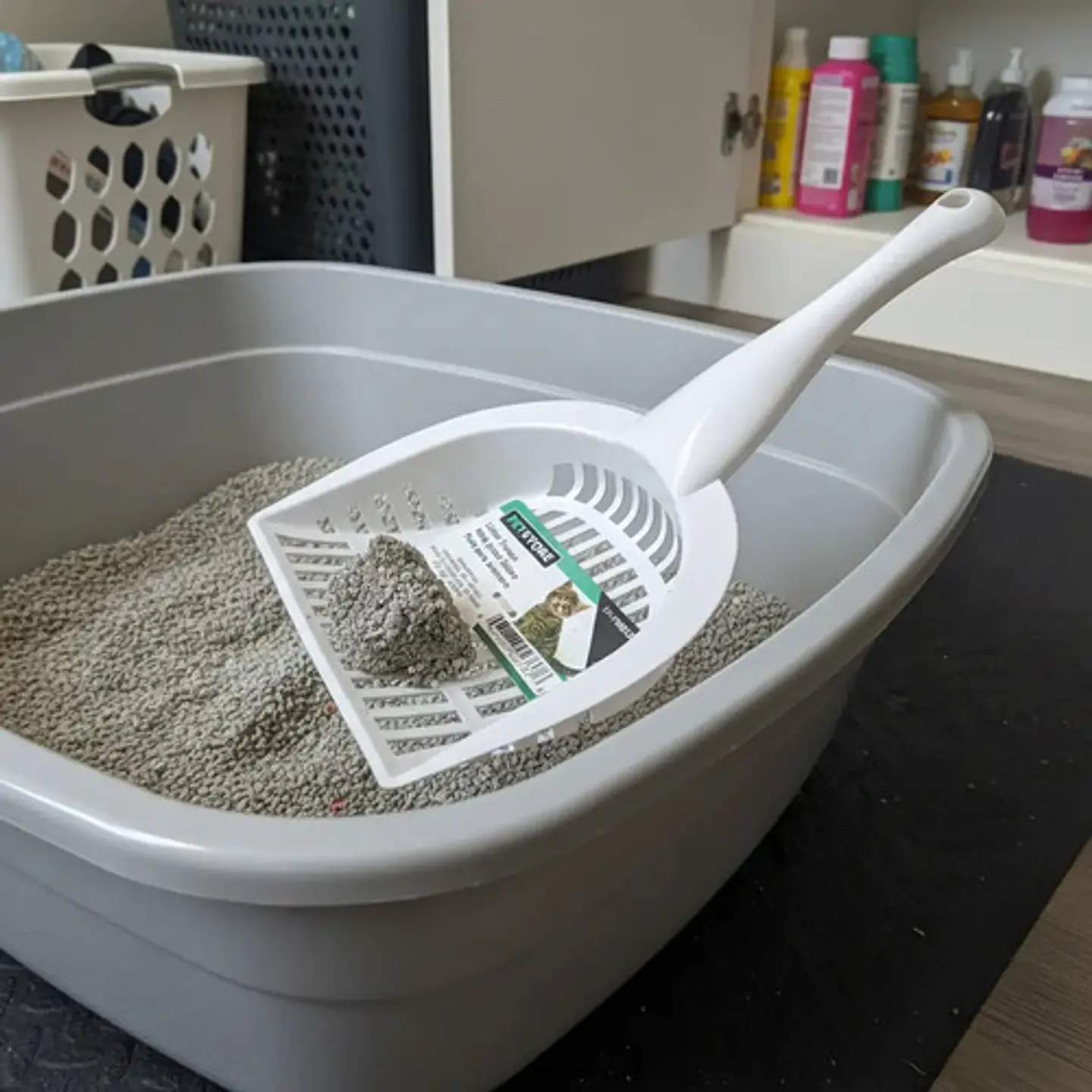 Recogedor Pala Plastica Para Limpieza De Arenero Gatos 4