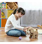 Mascota Perro Camina Collar Con Accesorios Control Remoto - Miniatura 4