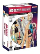 4d Vision Human Anatomy Modelo Torso Humano Medio 626203 - Miniatura 3
