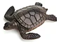 Animales Marinos X12 Macizos Medianos Pesebre Maqueta Bolsa  - Miniatura 3