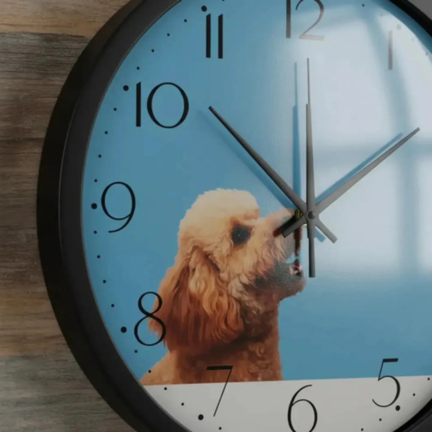 Reloj De Pared Cocina Perros Decorativo Hogar Hora Estructura 836-10 Negro Fondo Azul 4