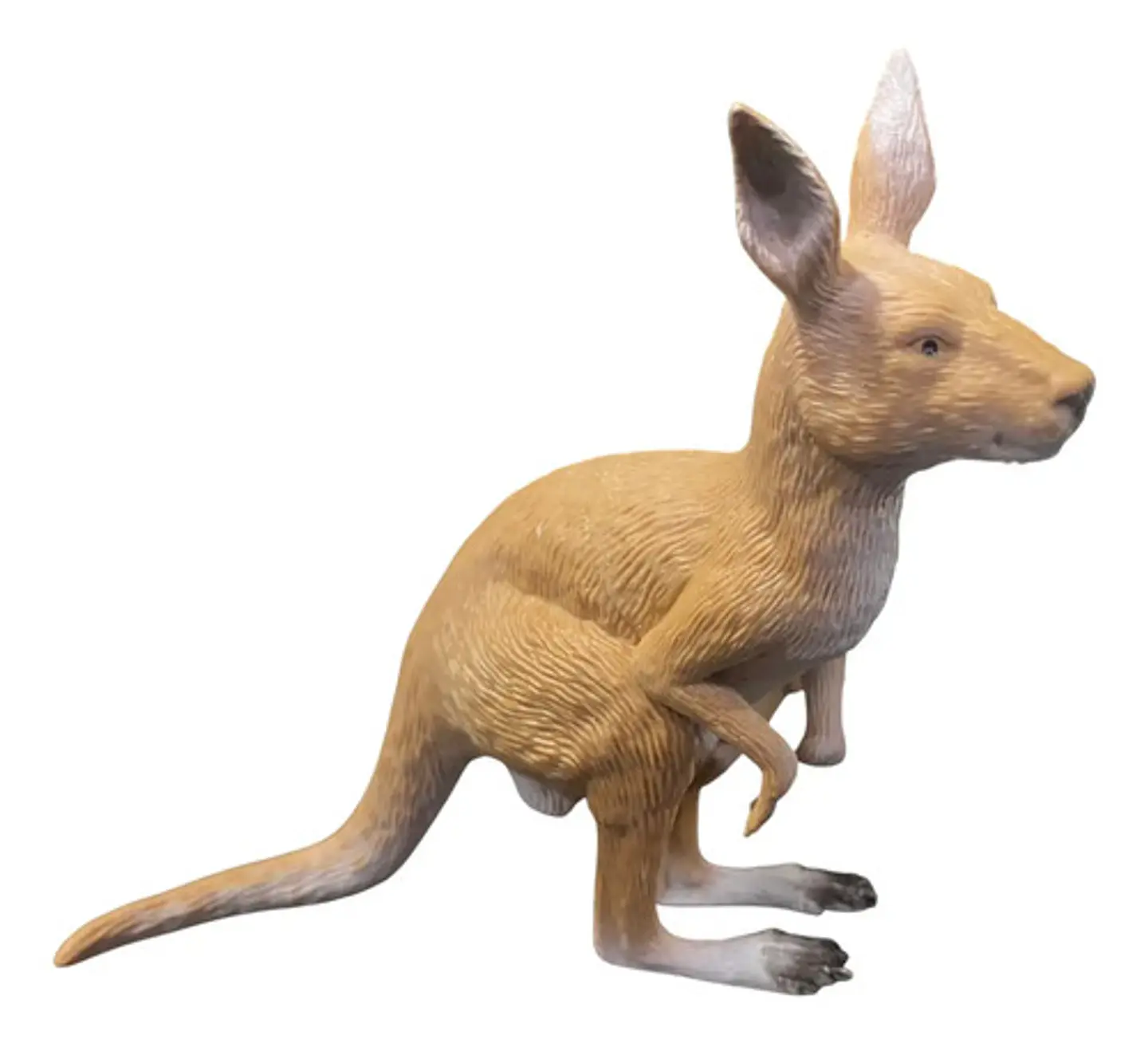 Set De 6 Animales Plásticos Salvajes Medianos Juguete 4