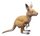 Set De 6 Animales Plásticos Salvajes Medianos Juguete - Miniatura 4
