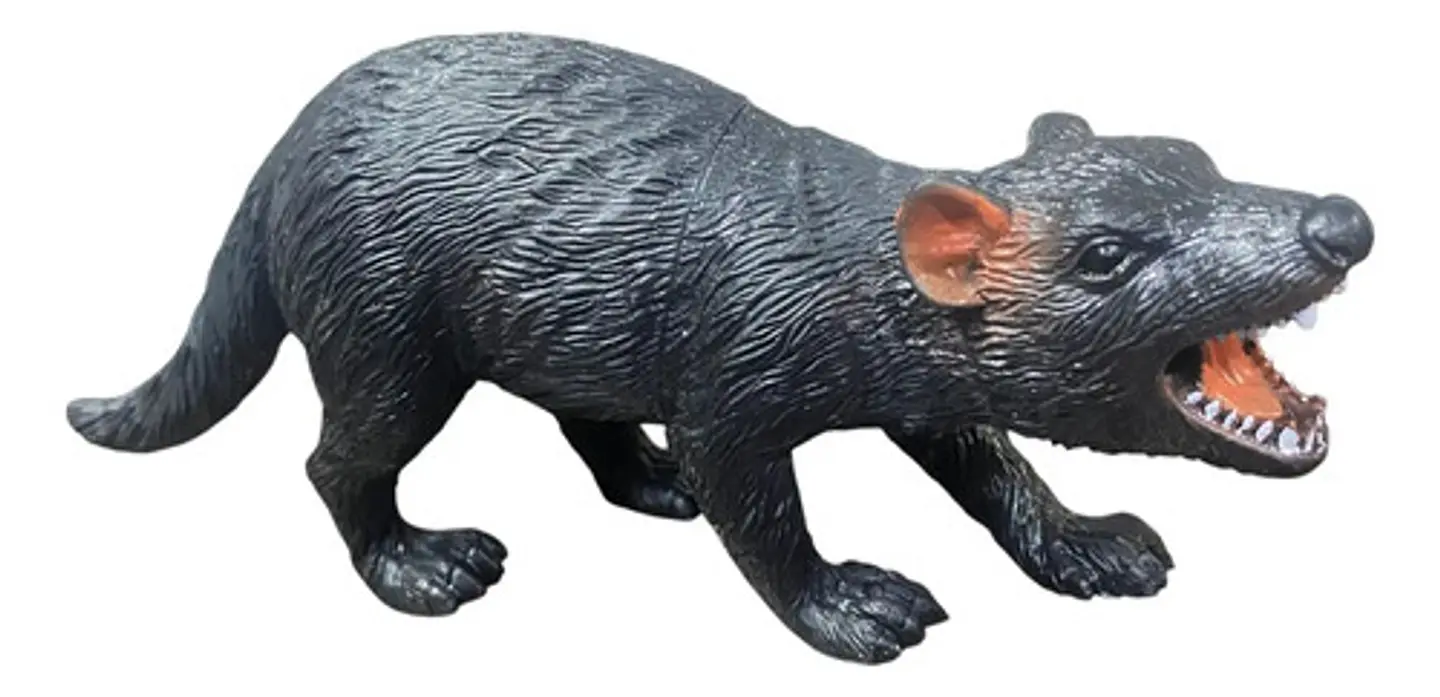 Set De 6 Animales Plásticos Salvajes Medianos Juguete 5