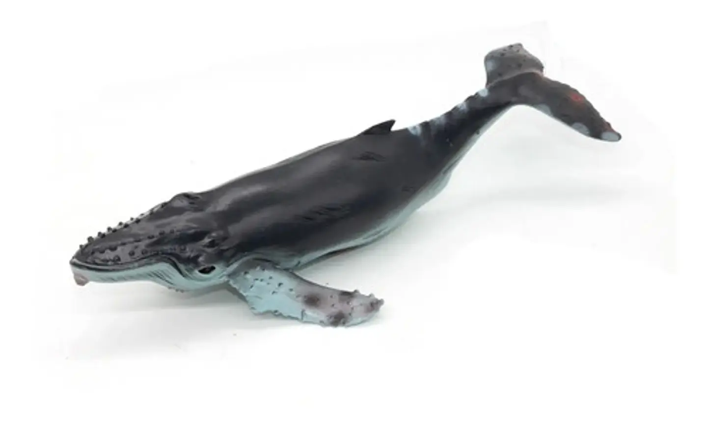Animales Marinos X6 Macizos Grandes Pesebre Maqueta Bolsa  7