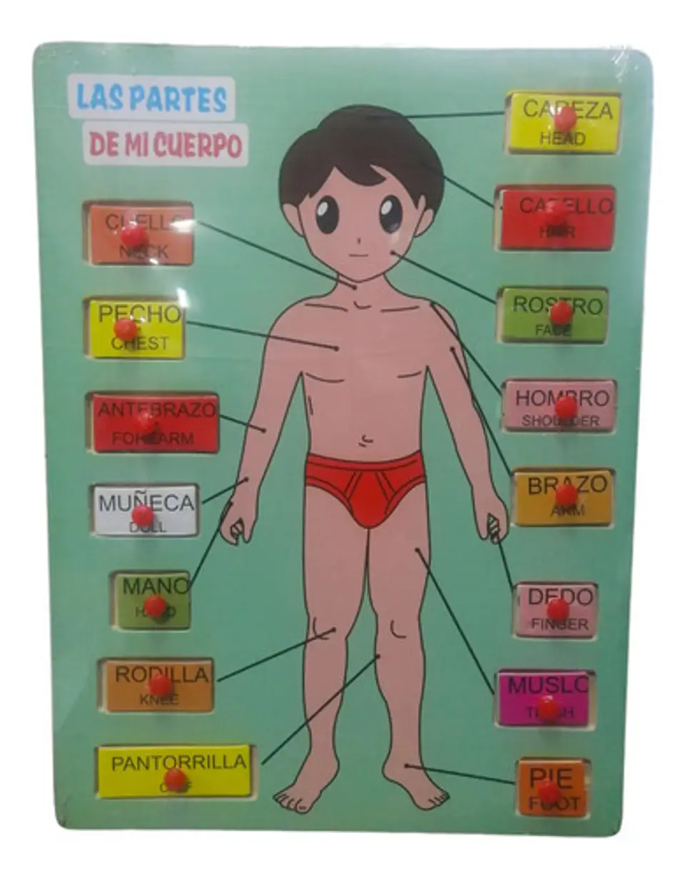 Rompecabezas Madera Partes Cuerpo Jo 15 Piezas 3 A 6 Años 1