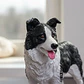 Set X6 Animales Macizos Perros Domesticos Maqueta Reales - Miniatura 3