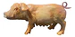 Set De 12 Animales Plásticos Pvc De Granja, Grandes - Miniatura 3