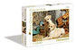 Rompecabeza Puzzle Perros Hqc X 1500 Piezas Clementoni 31976 - Miniatura 1
