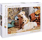 Rompecabeza Puzzle Perros Hqc X 1500 Piezas Clementoni 31976 - Miniatura 2