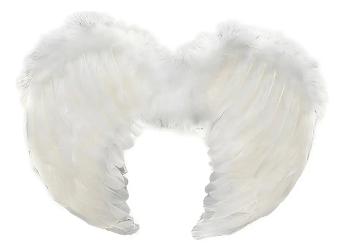 Alas De Angel Con Plumas - Disfraz Alas 60x40 Halloween Color Blanco 1