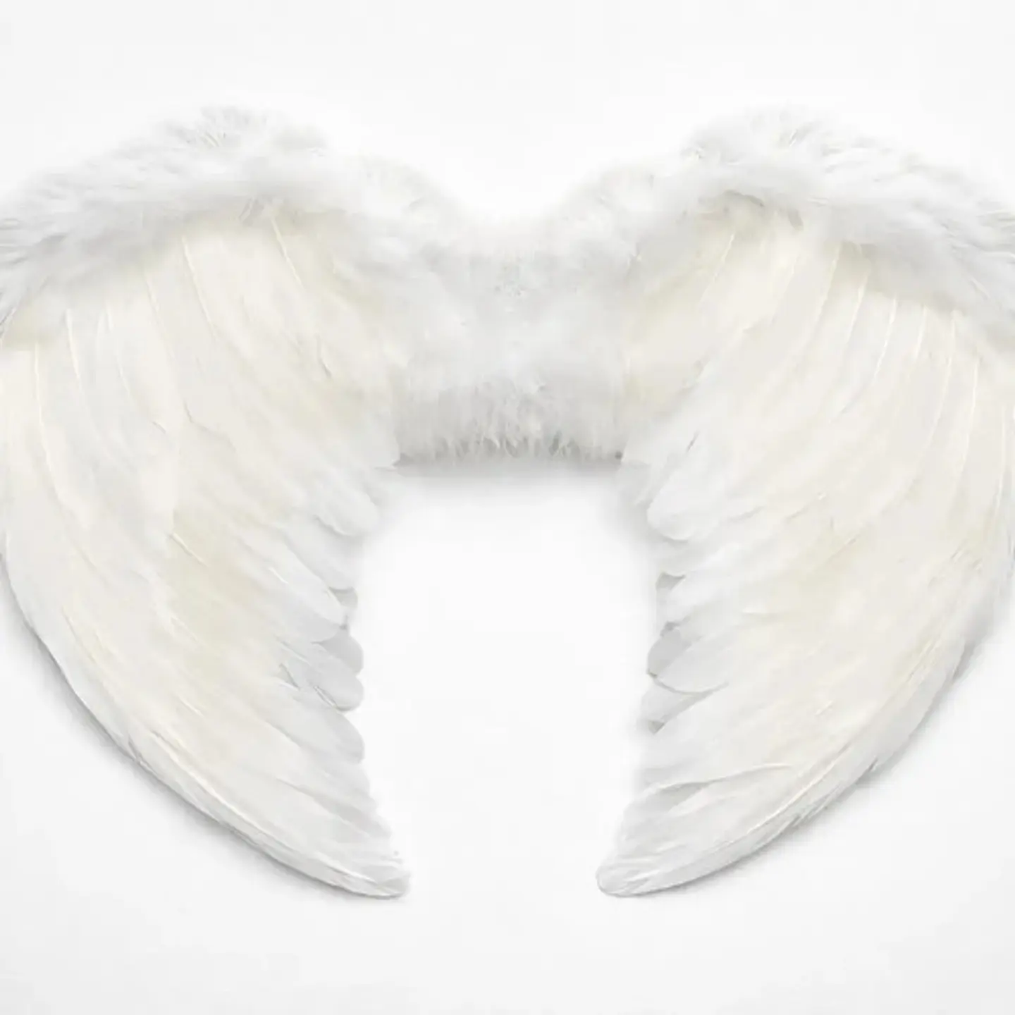 Alas De Angel Con Plumas - Disfraz Alas 60x40 Halloween Color Blanco 2