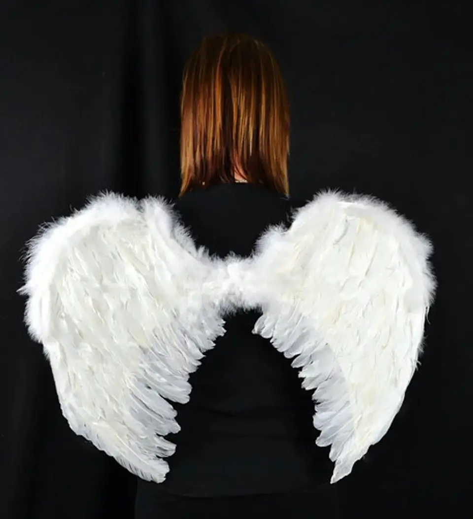 Disfraz Alas  Ángel Negras Plumas Mp294 Unisex Halloween * 1
