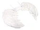 Disfraz Alas  Ángel Negras Plumas Mp294 Unisex Halloween * - Miniatura 2