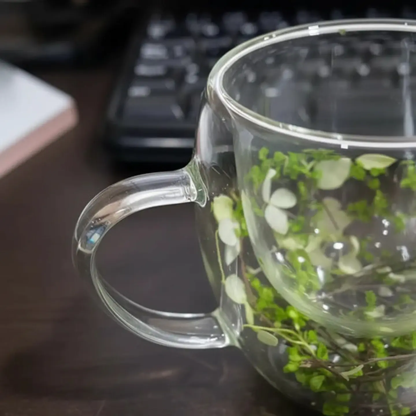 Taza Pocillo Vidrio Doblepared 250ml Hojas Decoratico Regalo 4