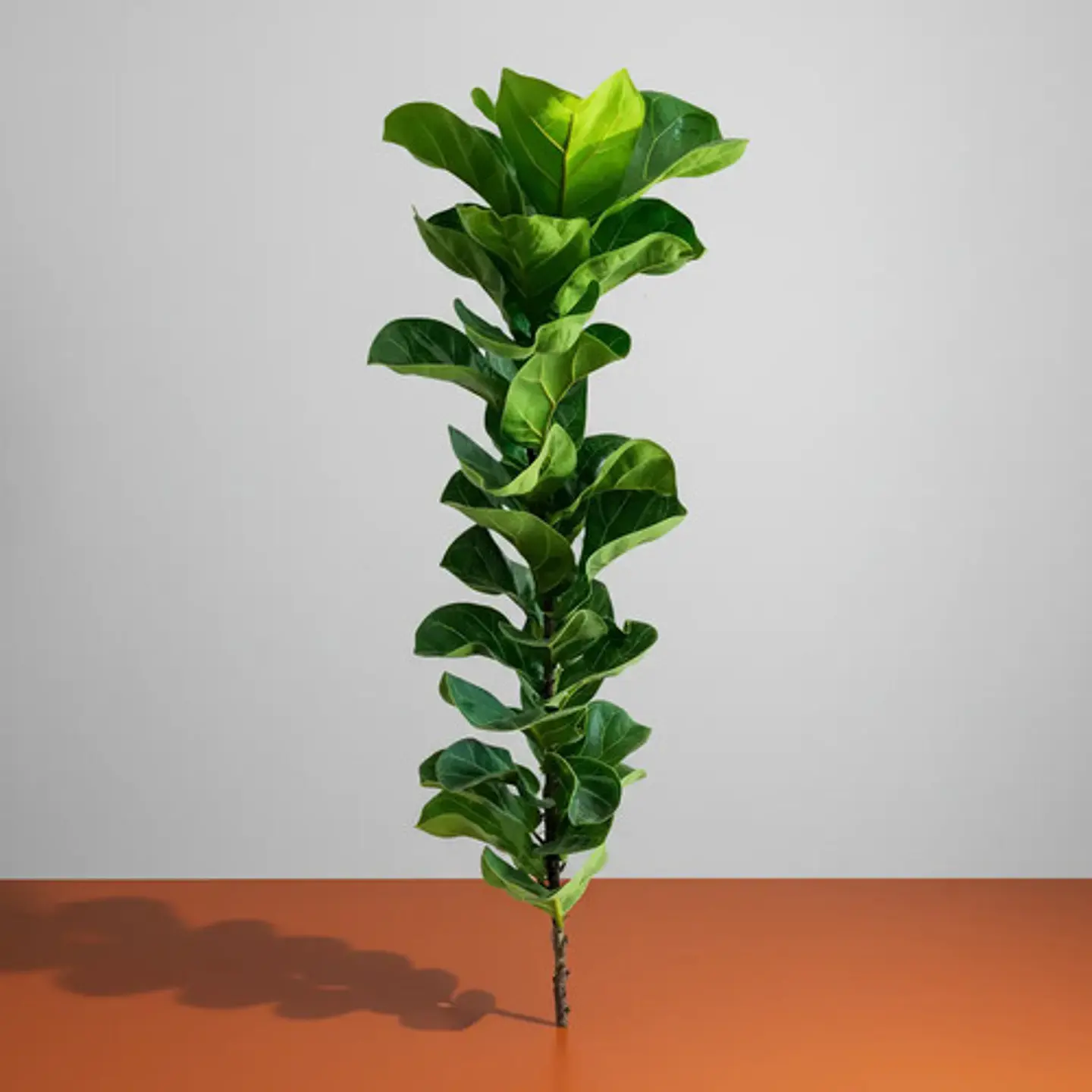 Árbol Artificial Croton Decorativo Con Flores Verdes Tallo 1