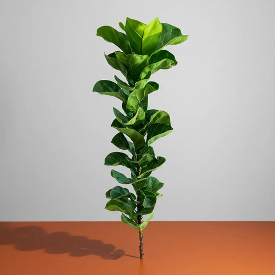 Árbol Artificial Croton Decorativo Con Flores Verdes Tallo 1