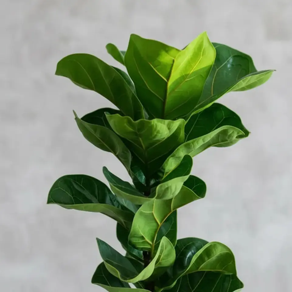 Árbol Artificial Croton Decorativo Con Flores Verdes Tallo 5