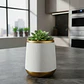 Matera Decorativa Planta Moderna Energy Plus Blanca Dorado - Miniatura 4