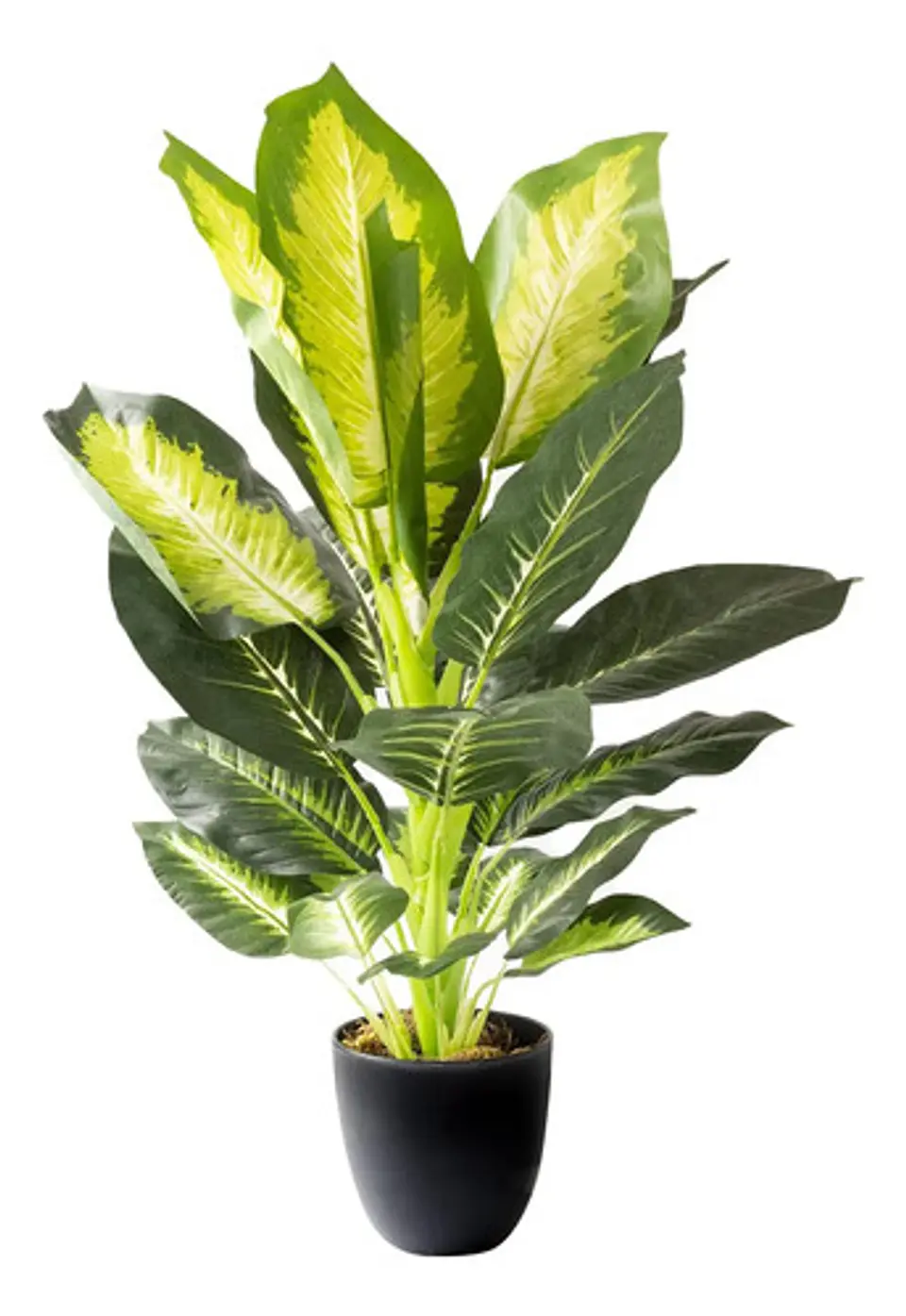 Planta Loterias Artificial Decorativa Para Interiores Casa 2