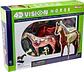 Modelo Anatómico De Caballo Tedco, 4d. 25 Piezas - Miniatura 1