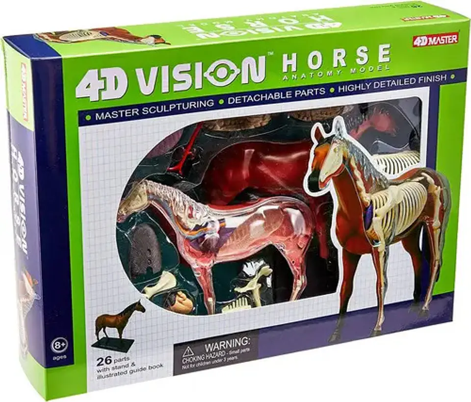 Modelo Anatómico De Caballo Tedco, 4d. 25 Piezas 1