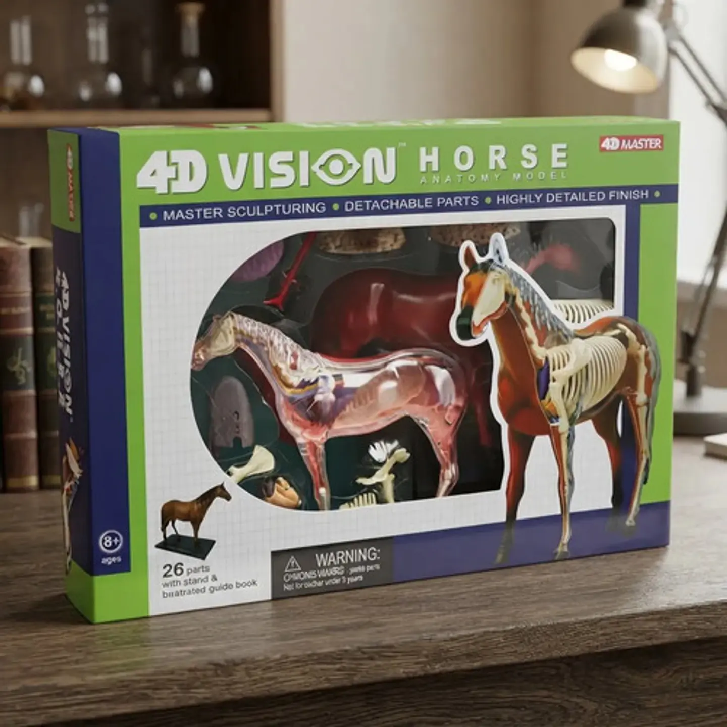 Modelo Anatómico De Caballo Tedco, 4d. 25 Piezas 3
