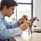Modelo Anatómico De Caballo Tedco, 4d. 25 Piezas - Miniatura 4