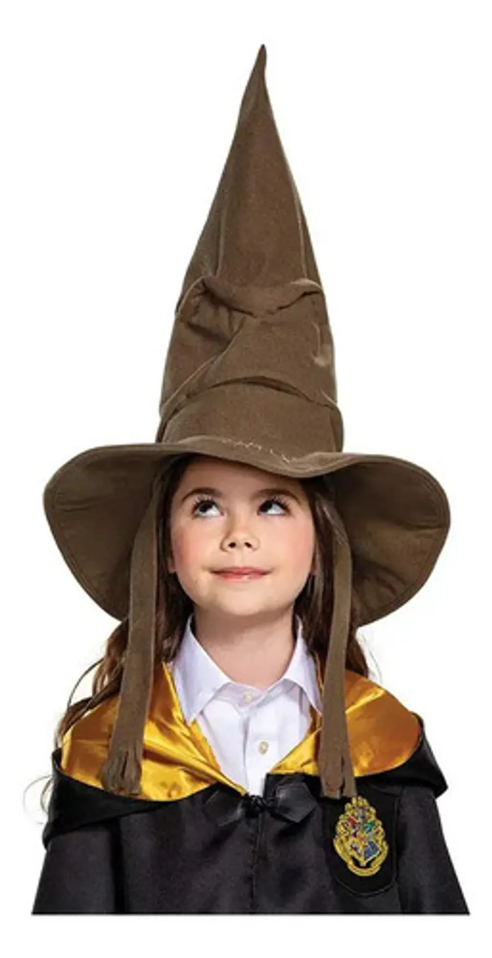 Sombrero Seleccionador Harry Potter Halloween Hogwarts De Cl 4