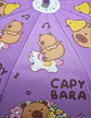 Paraguas Sombrilla Lluvia Niños Y Niñas Diseños Surtidos - Miniatura 10