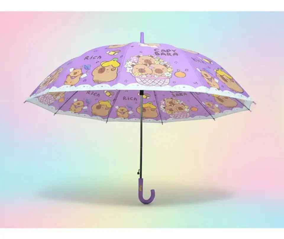 Paraguas Sombrilla Lluvia Niños Y Niñas Diseños Surtidos 12