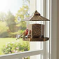 Alimentador De Pájaros Para Ventana Con Chupa  Ref. 8524 - Miniatura 3
