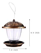 Alimentador De Pájaros Para Ventana Con Chupa  Ref. 8524 - Miniatura 8