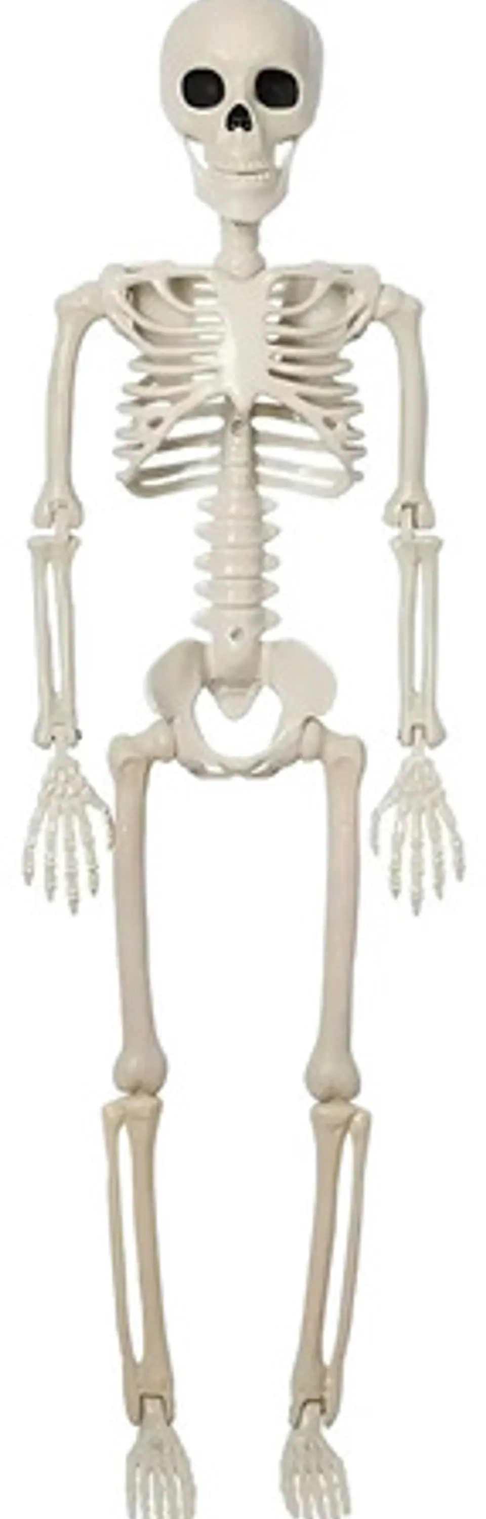 Esqueletos Decoración De Halloween Cuerpo Completo 90cm 1