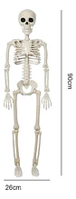Esqueletos Decoración De Halloween Cuerpo Completo 90cm - Miniatura 7