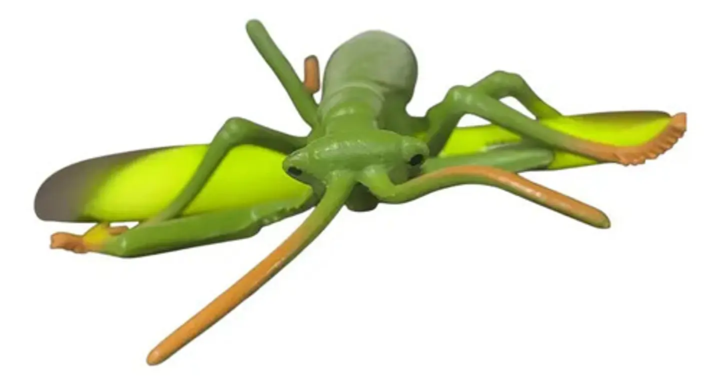 Figuras De Plastico Pvc Medianas Con Diseño De Insectos 6 U. 6