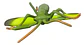Figuras De Plastico Pvc Medianas Con Diseño De Insectos 6 U. - Miniatura 6
