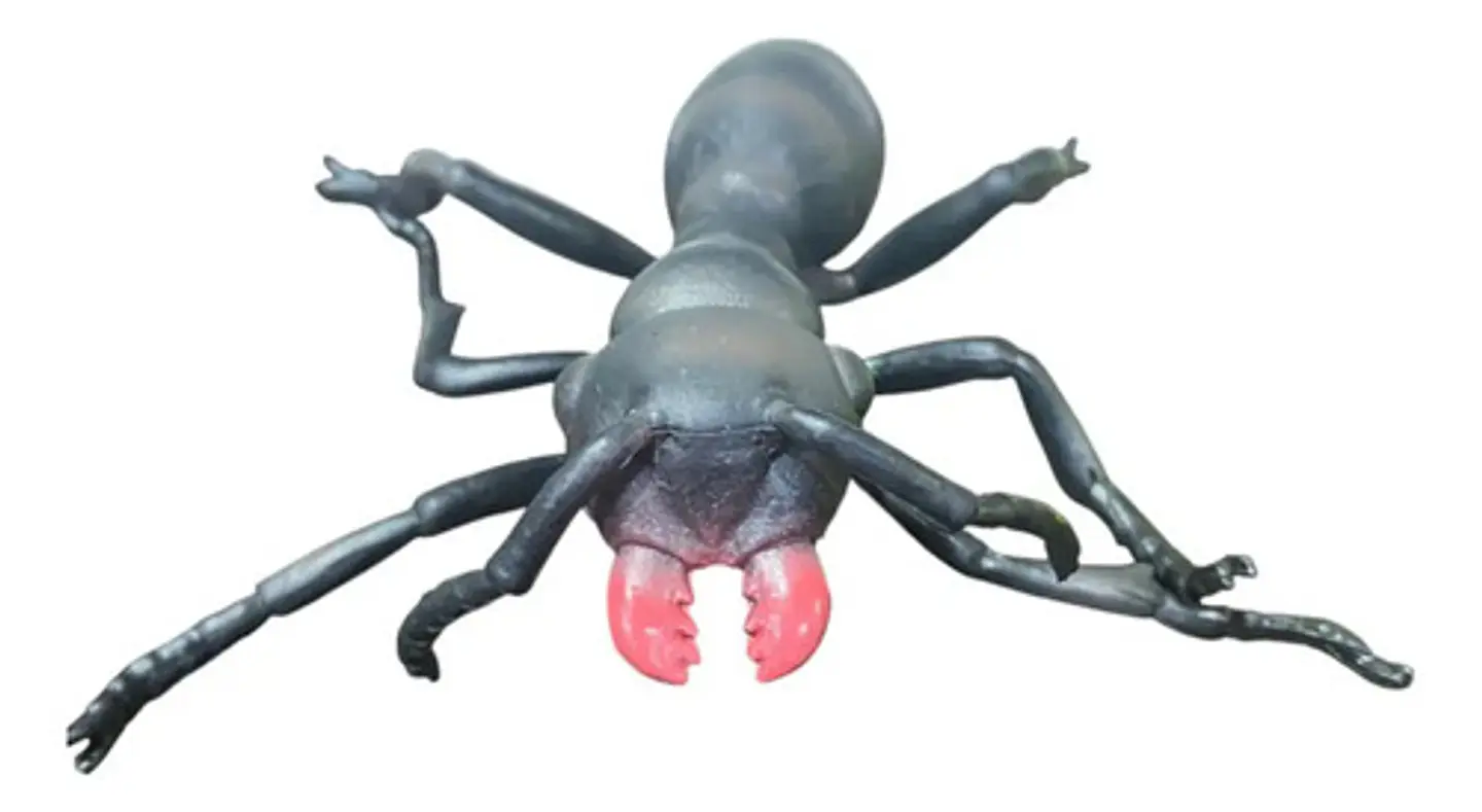 Figuras De Plastico Pvc Medianas Con Diseño De Insectos 6 U. 7