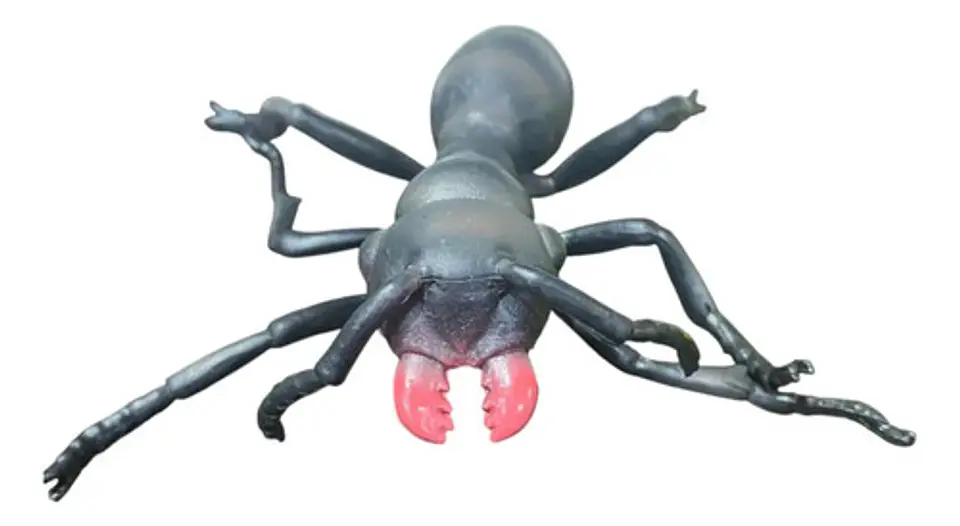 Figuras De Plastico Pvc Medianas Con Diseño De Insectos 6 U. 7