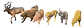 Animales Selva X 6 Macizos Medianos Puma Rinoceronte Bolsa - Miniatura 1