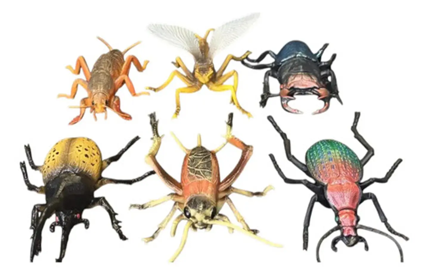 Figuras De Plástico Insectos 6 Ud Cigarra, Escarabajo,grillo 3