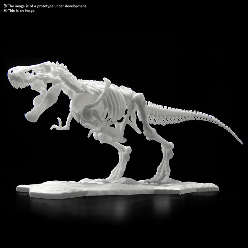 Dinosaur Model Kit Limex Skeleton Tyrannosaurus