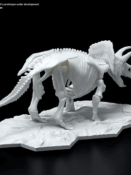 Dinosaur Model Kit Limex Skeleton Triceratops