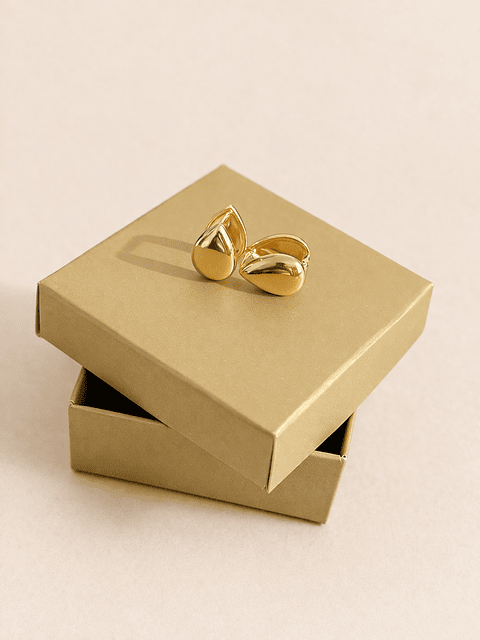 Brinco Gota Lisa Fecho