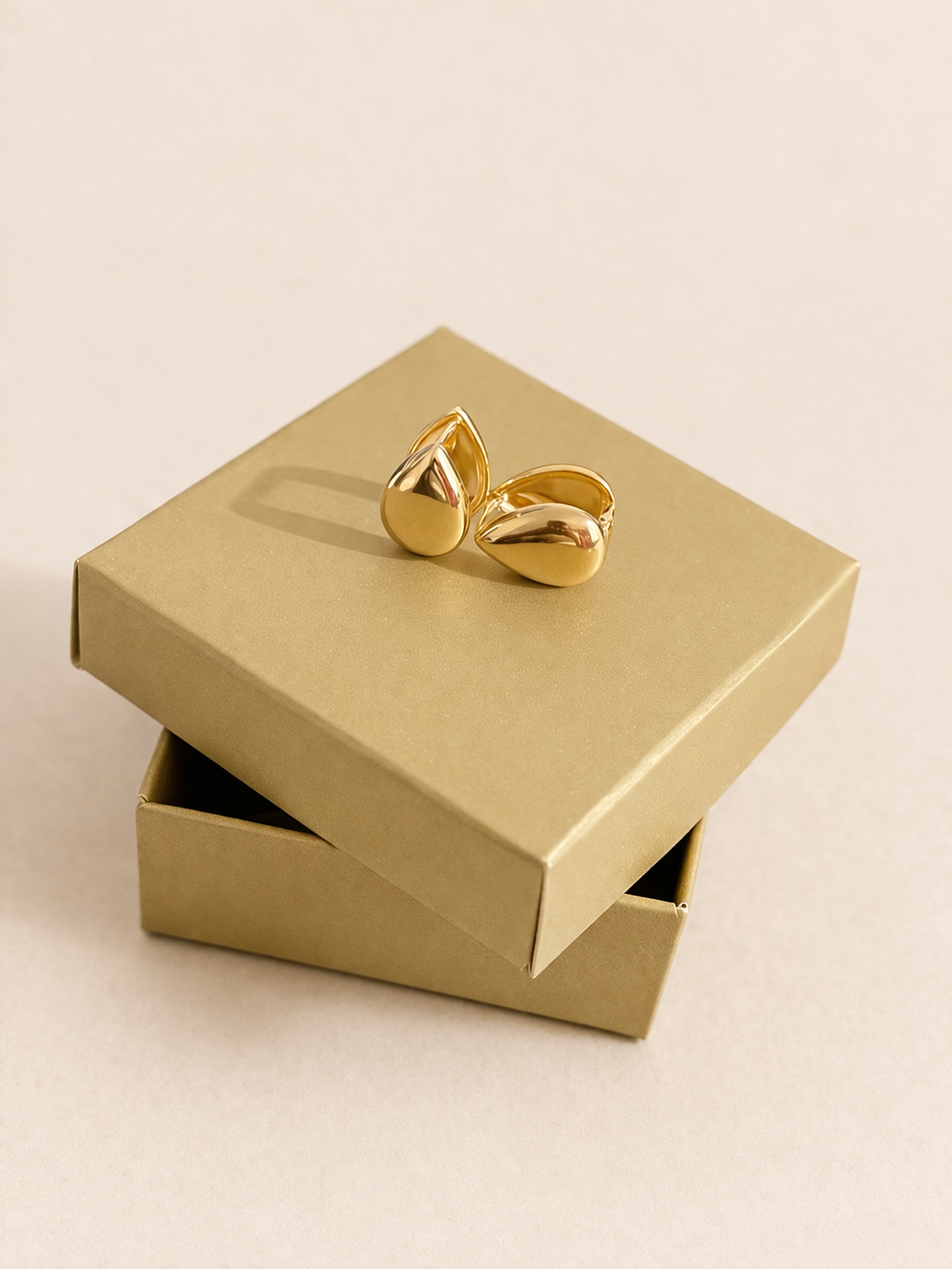 Brinco Gota Lisa Fecho 1