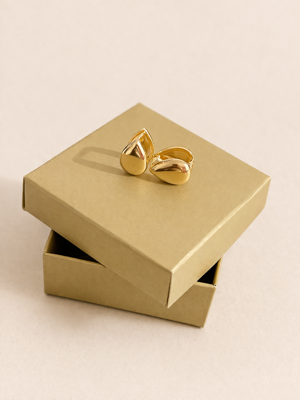 Brinco Gota Lisa Fecho 1